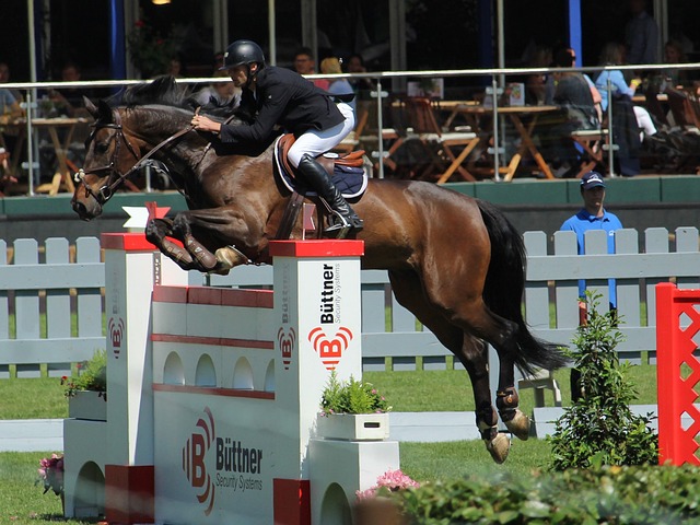 平的提升 平的提升